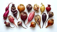 Colorful assortment of fresh organic root vegetables including beets, turnips, radishes and carrots arranged on white background for healthy cooking concepts.