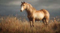Chestnut horse standing in dry grassland with stormy sky backdrop, suitable for equestrian, nature, and rural lifestyle content.
