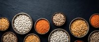 Assorted legumes and grains in bowls on dark slate surface, including lentils, chickpeas, and beans for cooking and nutrition.