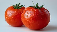 Fresh ripe tomatoes with water drops and green stems on light background, macro shot showing natural texture and vibrant color.