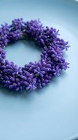Purple lavender flower wreath on soft blue background for spa wellness aromatherapy and natural home decor projects.
