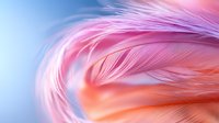 Delicate pink and coral feathers create ethereal macro composition against soft blue background, showcasing gentle curves and intricate texture patterns.