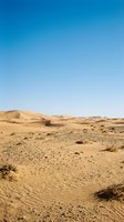 Vast desert landscape with golden sand dunes, rippled patterns, sparse vegetation, and clear blue sky. Suitable for travel, nature, and environmental design projects.