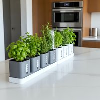 Fresh herbs growing in modern gray planters on white kitchen counter with stainless steel appliances in contemporary home interior for cooking.