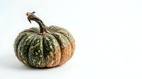 Organic squash with textured green and tan skin isolated on white background, suitable for culinary, agricultural, and food design projects.