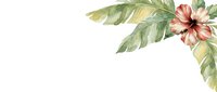 Watercolor tropical flower with green leaves on white isolated background, suitable for design projects, invitations, and decorative applications.
