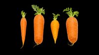 Isolated orange carrots with green leafy tops on transparent background, ready for t-shirt design, clipart, stickers, print-on-demand products and sublimation projects.