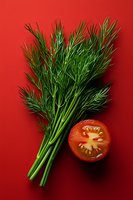 Fresh dill bunch and halved red tomato on vibrant red background, minimalist food composition for cooking, healthy eating and recipe design.