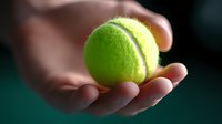 Tennis ball held in cupped hands ready for serve or play on court during match or training session for sports and recreation activities.