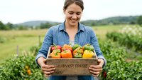 Young woman farmer holding wooden crate of fresh harvested vegetables in agricultural field, organic produce farming and sustainable agriculture concept.