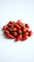 Fresh red hot chili peppers isolated on white background, ready for culinary, food styling, recipe, and cooking design projects.