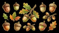 Autumn acorns and oak leaves clipart set, isolated on transparent background. Great for fall stickers, t-shirt design, print on demand, and sublimation projects.