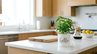Fresh green basil plant in a white ceramic pot on a modern kitchen island with wooden cabinets and bright natural light.