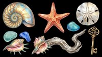 Watercolor ocean collection with seashells, starfish, sand dollar, sea glass, driftwood, and vintage key, isolated on transparent background for clipart, stickers, and t-shirt design.