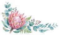 Watercolor pink protea flower with eucalyptus leaves and fern foliage on white background. Isolated botanical illustration for design, invitations, and decorative projects.