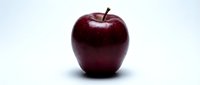 Dark red apple with glossy skin isolated on white background, suitable for food, nutrition, health and wellness design projects.