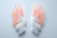 Ethereal coral and white angel wings crafted from delicate feathers on light background, symmetrical artistic composition for spiritual and decorative designs.