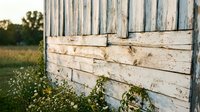 Rustic weathered wooden barn wall with wildflowers growing at base in countryside setting during golden hour light for agricultural and rural themes.