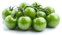 Fresh green tomatoes on vine with water drops and stems, arranged on white background. Organic produce for cooking and healthy eating.