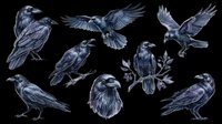 Black ravens in multiple poses, isolated on transparent background. Clipart set for t-shirt design, stickers, print on demand, sublimation, and digital crafts.