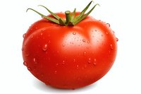 Fresh ripe red tomato with water droplets and green stem isolated on white background, ready for food packaging, advertising and menu design.