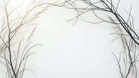 Minimalist botanical frame with delicate bare branches and twigs creating natural border on neutral background for organic design projects.