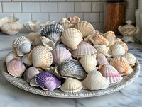 Collection of colorful seashells displayed on vintage silver plate against marble surface and subway tile background, coastal home decor arrangement.