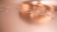 Copper circuit board traces with electronic pathways in warm metallic tones for technology and engineering applications.