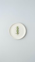 Single fresh rosemary sprig centered on white ceramic plate against neutral background, ideal for culinary, food styling, and minimalist design projects.