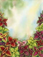 Colorful foliage border with red and yellow leaves arranged along bottom edge on soft watercolor background, suitable for greeting cards, invitations, and decorative design projects.