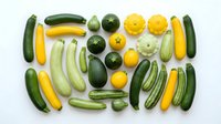 Assorted fresh cucumbers and squash arranged in flat lay composition on white background, including yellow summer squash, green zucchini, and round varieties for cooking and healthy eating.