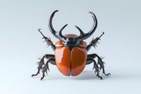 Shiny orange stag beetle with large black horns and spiky legs isolated on white background, perfect for entomology or nature design projects.