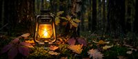 Vintage oil lantern glowing warmly among colorful autumn leaves on forest floor, creating cozy atmospheric lighting for camping and outdoor adventures.