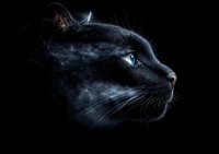 Black cat profile with bright blue eyes against dark background, dramatic side lighting highlights whiskers and facial features while smoke creates mystical atmosphere.