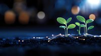 Young green seedlings growing from soil at night with bokeh lights in background, representing growth, hope and new beginnings in business concept.