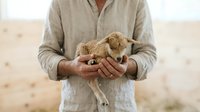 Male farmer in beige linen shirt holding small tan puppy in cupped hands outdoors on rural farm field, showing care and connection with animal.