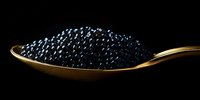 Black caviar on golden spoon against dark background, luxury gourmet food styling with dramatic lighting and reflective surfaces creates elegant composition.