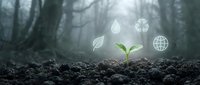 Young green plant seedling growing from dark soil in misty forest with floating eco-friendly symbols representing sustainability and environmental conservation.