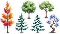 Watercolor tree collection featuring autumn maple, evergreen pines, flowering trees and twisted bonsai on white background for nature design projects.