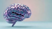 Stylized human brain with purple and blue gradient colors on soft pastel background for medical education, neuroscience research and healthcare concepts.