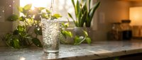 Fresh sparkling water being poured into glass on kitchen counter with green plants creating healthy lifestyle atmosphere for wellness content.