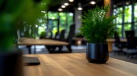 Green plant in black modern pot on wooden table in contemporary office space with blurred background showing chairs and windows, natural daylight setting.