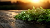 Fresh green arugula leaves on rustic wooden surface at sunset, dramatic lighting creates warm atmosphere for food photography and healthy eating concept.