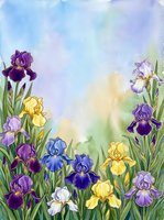 Watercolor painting of vibrant iris flowers in purple, yellow, and blue tones with soft pastel sky background, suitable for botanical art prints and garden-themed designs.