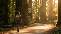 Young woman hiker walking alone on forest trail during golden hour sunset, surrounded by tall trees creating peaceful outdoor adventure atmosphere.