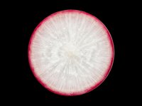 Fresh radish slice with vibrant pink edge and white center, isolated on transparent background. Ready for food clipart, stickers, t-shirt design, and print on demand use.