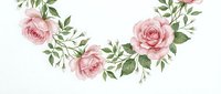 Soft pink roses with green foliage arranged in an elegant curved garland design on white background. Perfect for wedding invitations, greeting cards, and floral decorative projects.