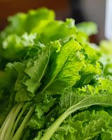 Fresh green mustard leaves with crisp stems and ruffled edges shown in close-up macro photography, highlighting natural texture and vibrant color for food and cooking blogs.