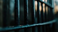 Dark metal fence bars in macro shot with shallow depth of field creating moody atmospheric background for security and protection concepts.