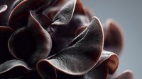 Rich chocolate curls with smooth texture and glossy finish, creating elegant decorative elements for gourmet desserts and confectionery presentations.